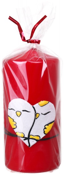 Свеча декоративная Цилиндр 60х120 Птенец Pako-If