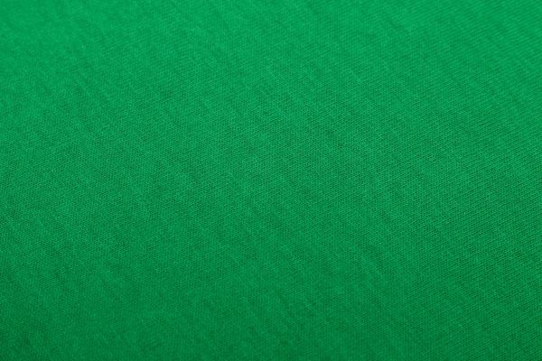 Футболка жіноча Роза 160404 р. 2XL зелений