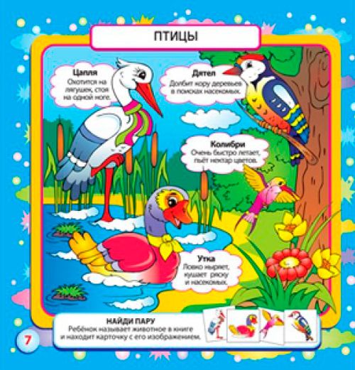 Книга «Розмальовка. Творческий ребенок. Играем с животными (36 карточек)» 9789662831962