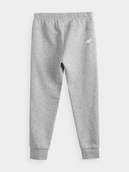 Штани 4F HJZ21-JSPDD001A-27M р. 146 сірий
