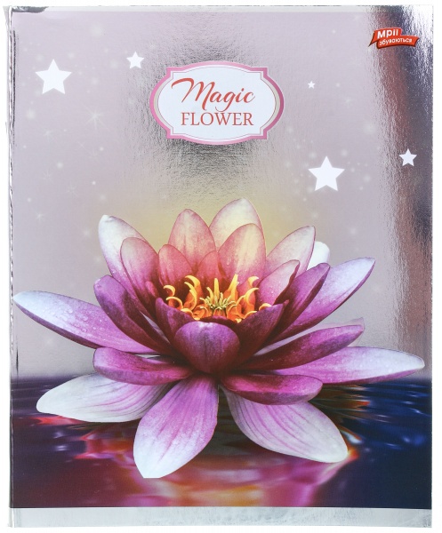 Зошит шкільний срібло 96 аркушів у клітинку в асортименті Мрії збуваються