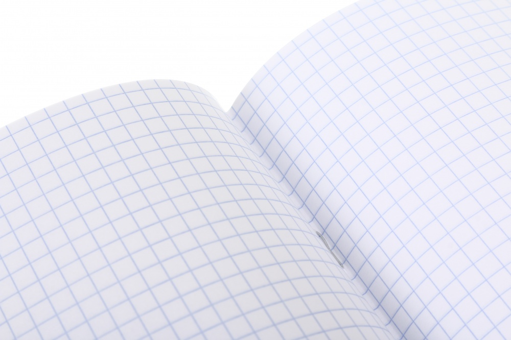 Тетрадь школьная Capybara1_25 12 листов в клеточку Nota Bene