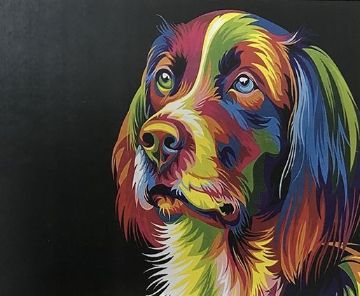 Картина стразами на подрамнике Радужный пес 40x50 см 188152 Діамантові ручки 