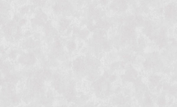 Шпалери вінілові на флізеліновій основі Status 411ST10 1,06x10,05 м 