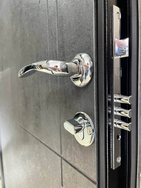 Дверь входная Tarimus СЕМЕЙНАЯ грей 2050x860 мм правая