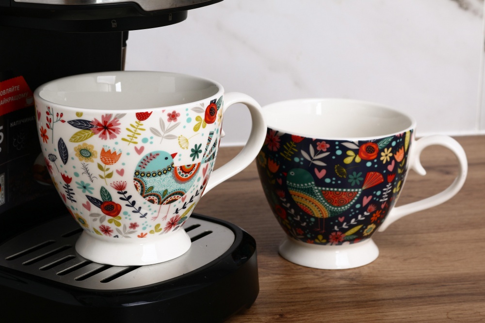 Набір чашок Fiora Blooming Birds 445 мл 2 шт.