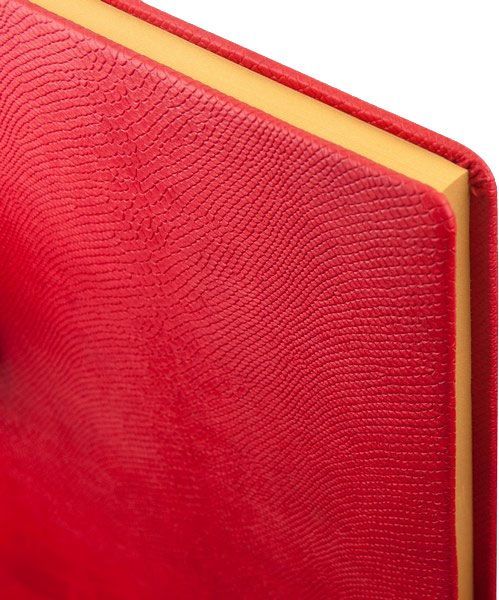 Ежедневник недатированный Amazonia красный А4 Buromax