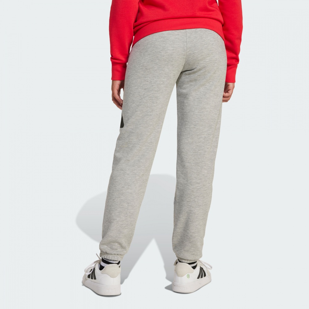 Штани Adidas J BL FT PT 280 JD2092 р. 9-10YRS сірий