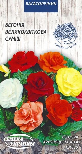 Семена Семена Украины бегония Крупноцветковая (смесь) 10 шт.