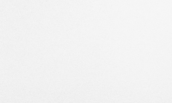 Шпалери вінілові на флізеліновій основі ASSORTI 900AS10 1,06x10,05 м 