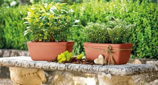 Кашпо DEROMA Рома котто прямокутний коричневий 14 см