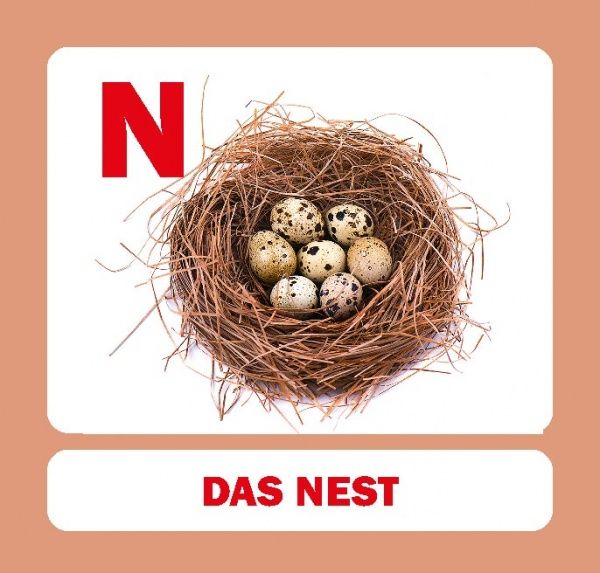 Книга «Навчальний посібник. Абетка німецька»