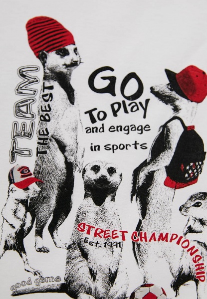 Футболка для хлопчиків Роза р.134 білий 210106 