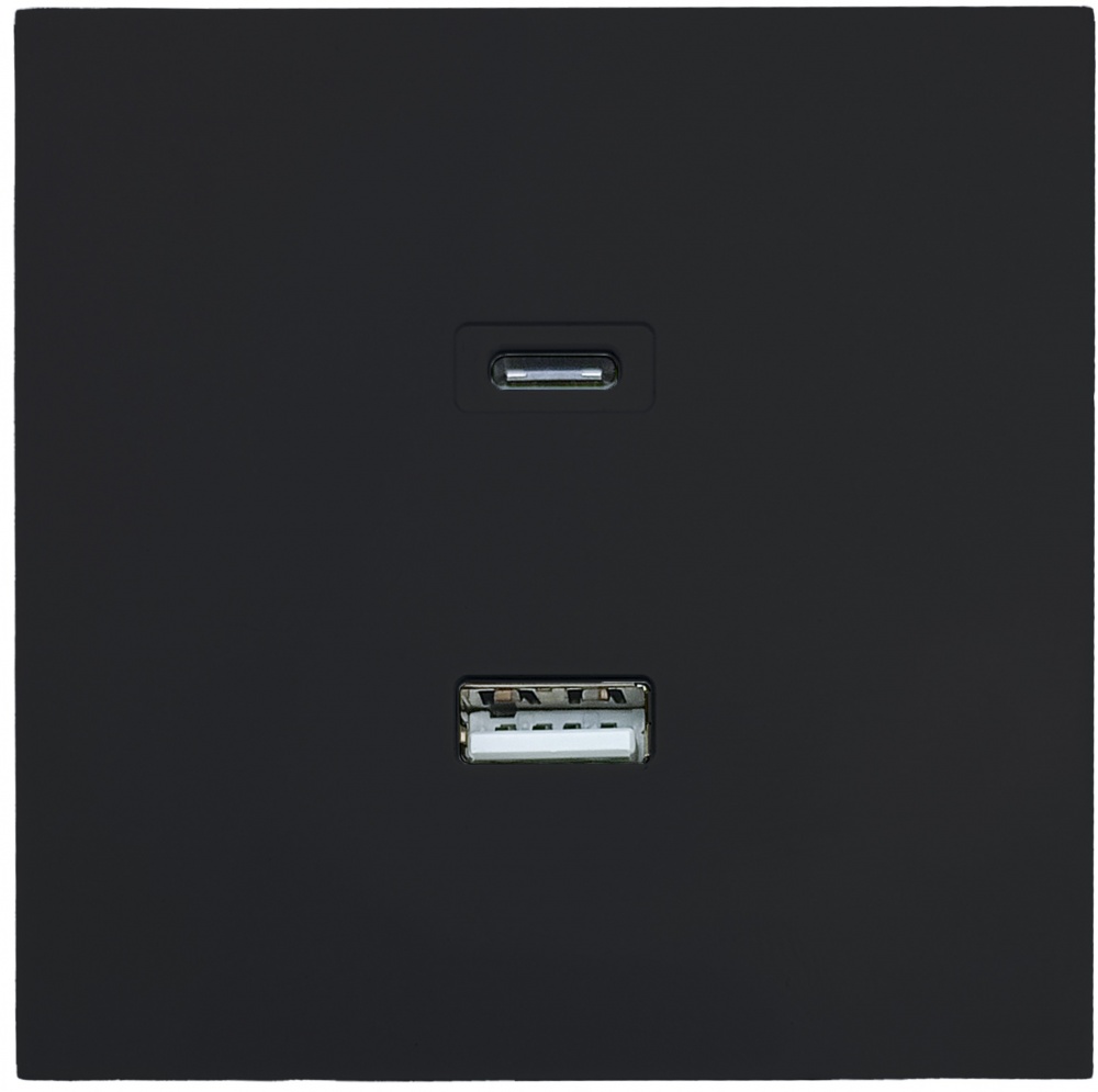 Механізм розетки USB + Type C HausMark Juna чорний