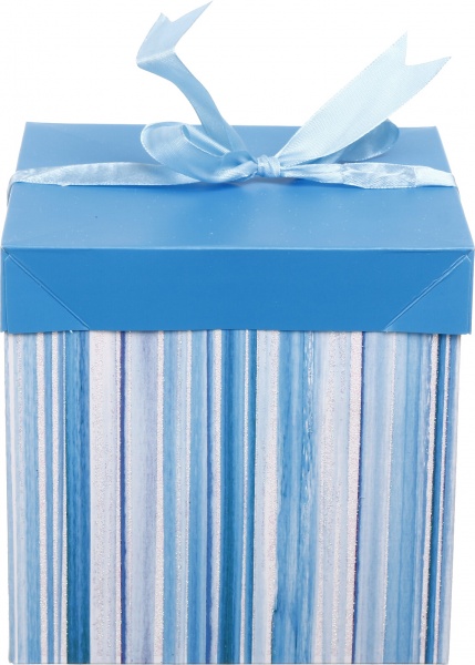 Коробка складана Смуги/горох 15x15x15 см (EBXS9801)