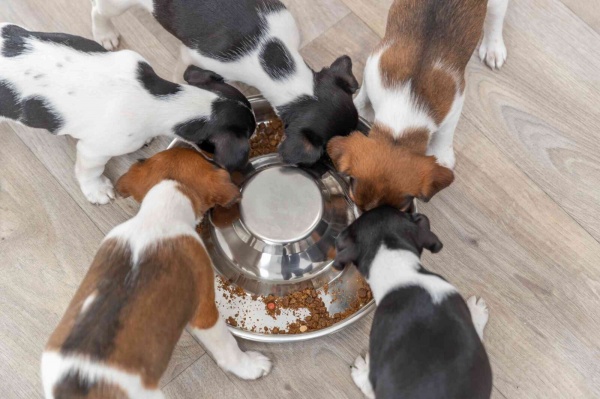 Миска Trixie для щенков металлическая 38 см 4 л (25282)