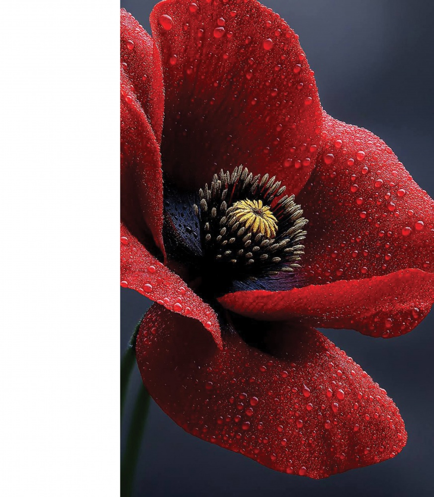 Пакет подарочный для растений