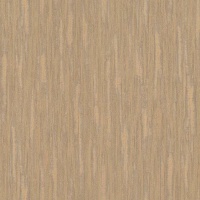 Шпалери вінілові гарячого тиснення RASCH Barbara Home Collection II XL 802832 1,06x10,05 м 