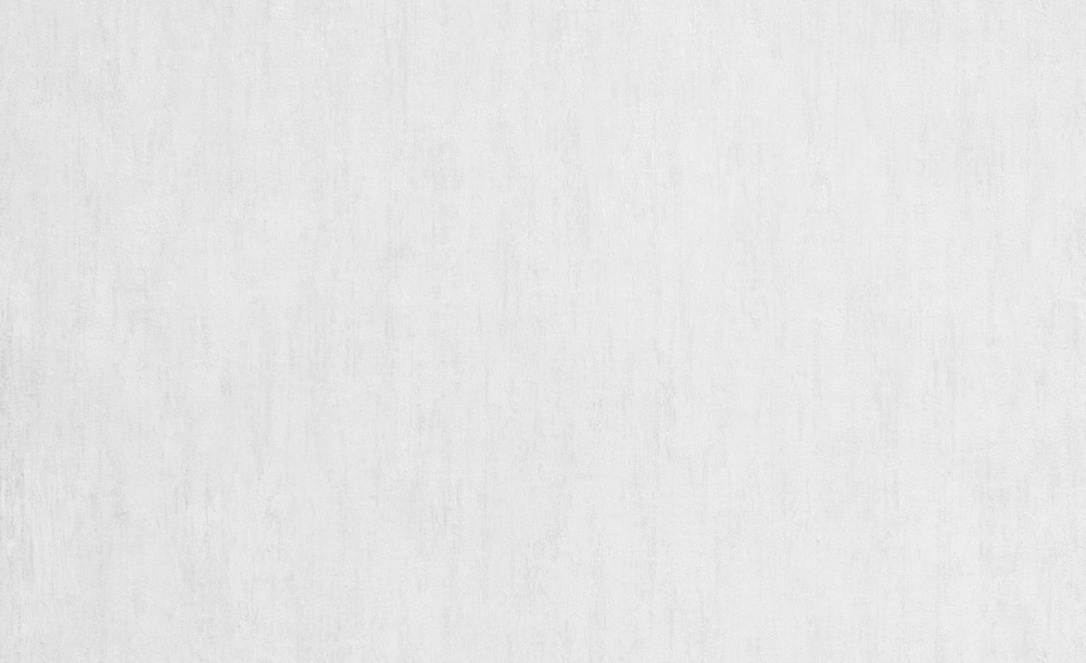 Шпалери вінілові на флізеліновій основі WallCOLOR W 162 C 20 1,06x10,05 м