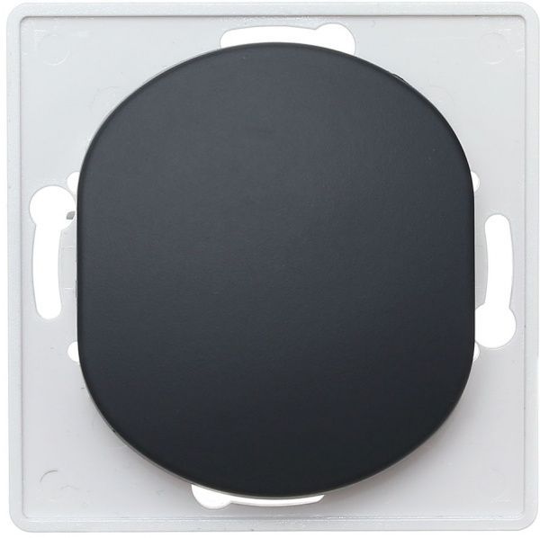 Вимикач одноклавішний Aling-Conel Eon без підсвітки 10 А 250В чорний E605.E1