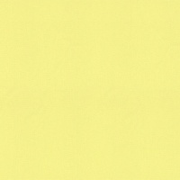 Шпалери Vinil Джунглі стена СШТ 2-1099 