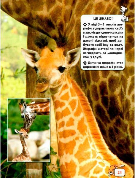 Книга «Світ навколо нас. Малята тварин» 978-966-9369-49-9