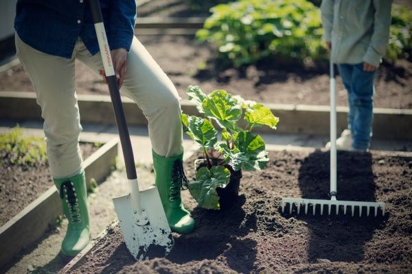 Лопата совкова суцільна Fiskars для снігу White