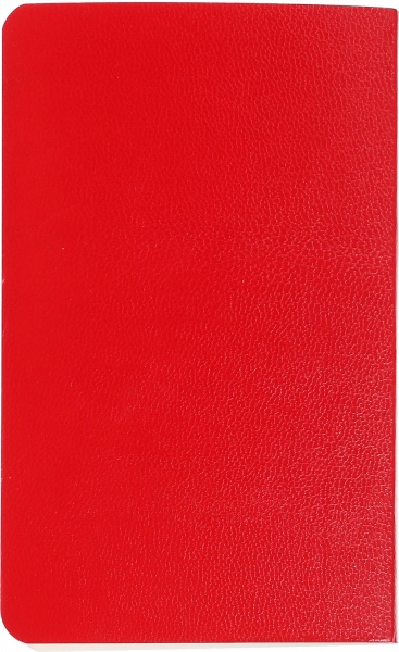 Книга для записей 96 л. 140х92 мм 3171 микс Deli