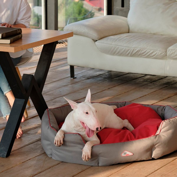 Лежак Pet Fashion BOSPHORUS 60 x 53 x 18 PR241767