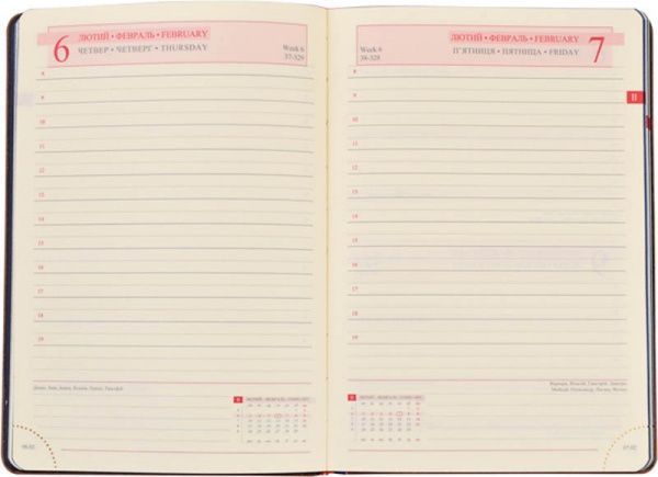 Дневник Destiny А5 cиний 251951 Leo Planner