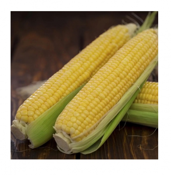 Семена Професійне насіння кукуруза сахарная Форвард F1 15 шт. (4820176696977)