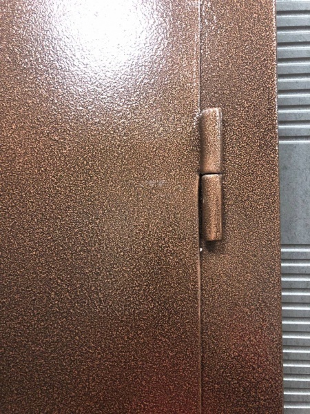 Дверь входная B & G медь антик 2050x850 мм левая