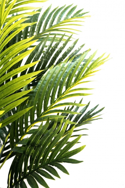 Дерево искусственное Пальма 175 см в горшке 360375 Девилон