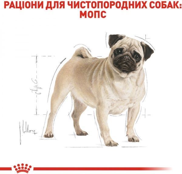 Корм Royal Canin для собак PUG ADULT 1,5 кг