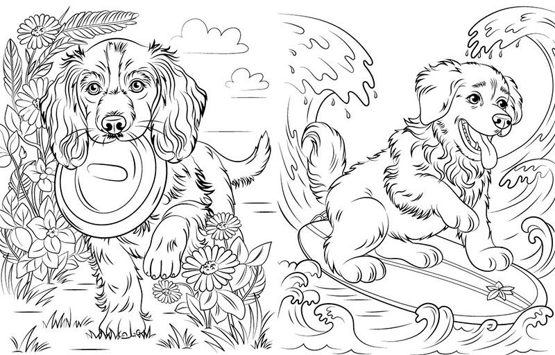 Книга Юлия Каспарова «Велика книга розмальовок: Коти та собаки» 978-617-09-7221-7