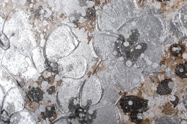 Картина Vase petit 80x80 см GF 