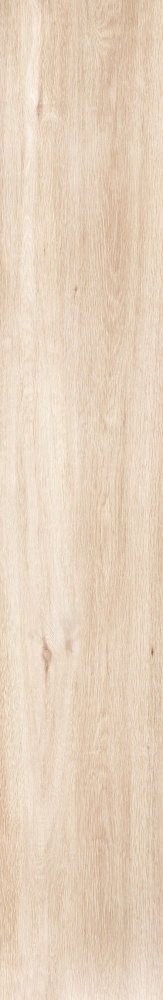 Плитка Allore Group Tahoe Beige F PR R Mat 19,8x120 см