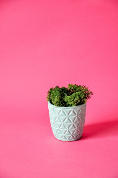 Кашпо декоративне Pattern бірюзовий бетон