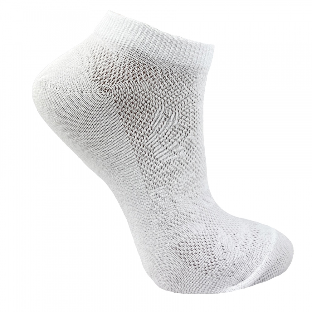 Шкарпетки жіночі Premier Socks Економ ажурна сітка р.23-25 білий