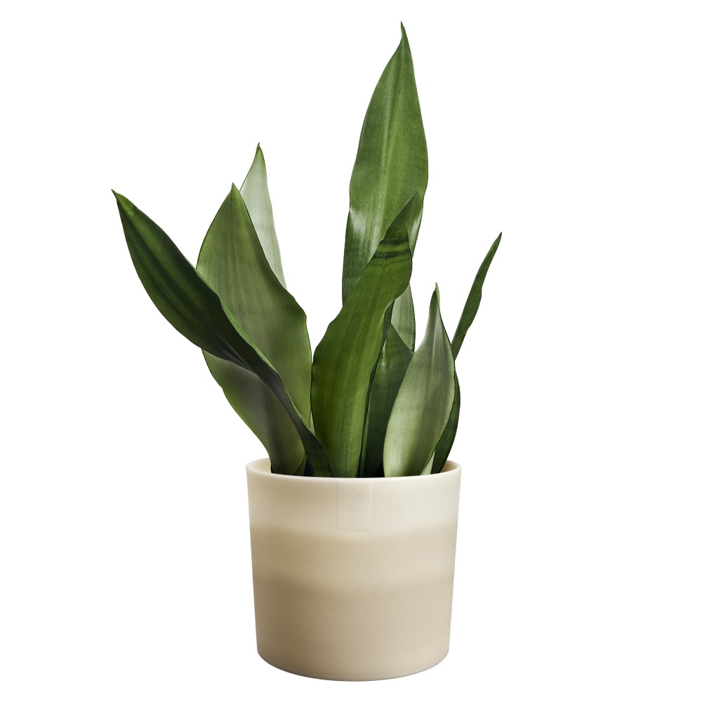 Вазон пластиковий пластик Colour gradient round круглий сіро-бежевий 2,5 л Elho (550585)