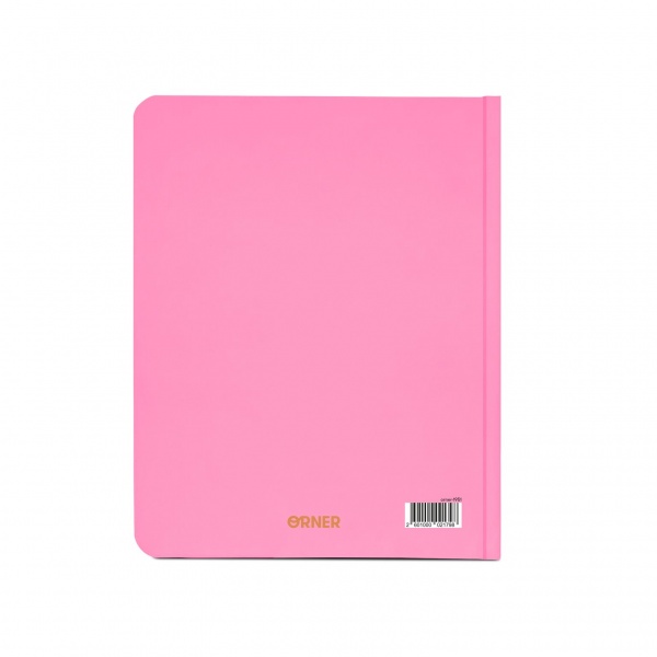 Блокнот I HAVE A PLAN розовый Orner