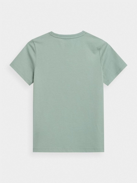 Футболка 4F TSHIRT M641 4FJMM00TTSHM641-47S р.164 зелений