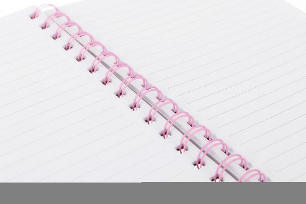 Книга для записей Единорог