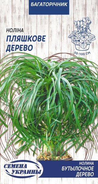 Семена Семена Украины нолина Бутылочное Дерево 4 г