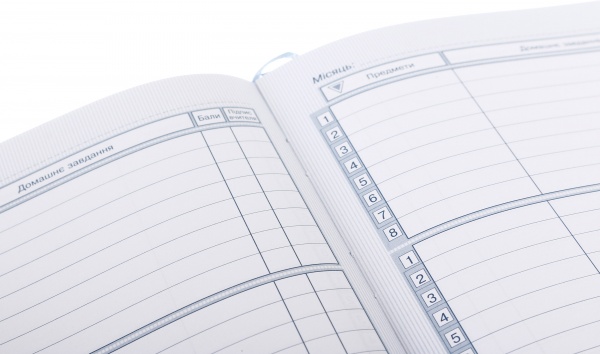 Дневник SD1612 167х211 мм 48 листов Bourgeois