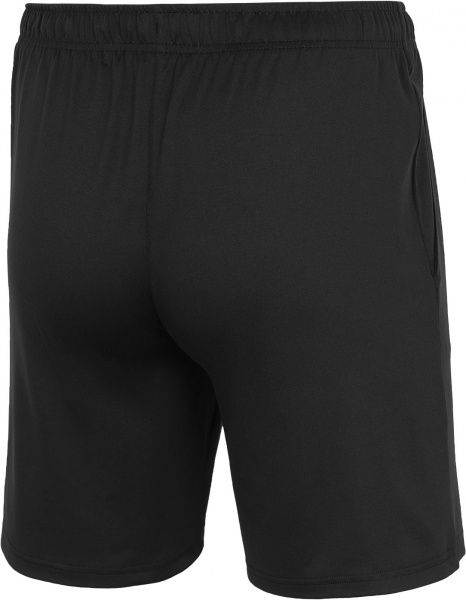 Шорты 4F NOSD4-SKMF301-20S р. 3XL черный