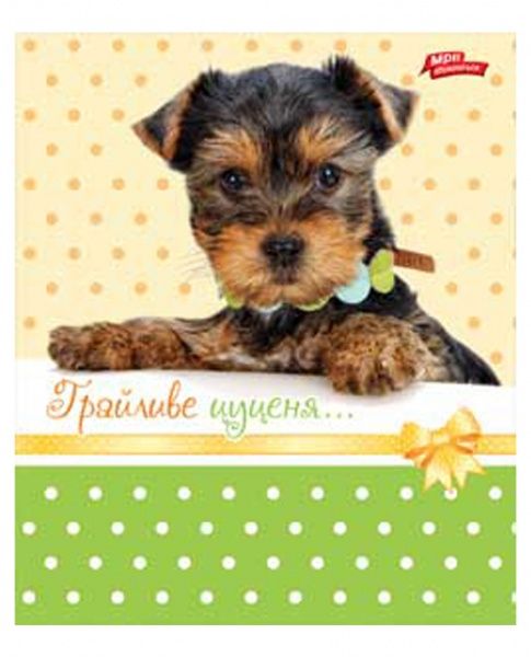 Тетрадь В5 Щенок 96 листов клетка на спирали Мечты сбываются