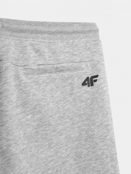 Шорти 4F 4FMM00TSHOM025-27M р. L сірий