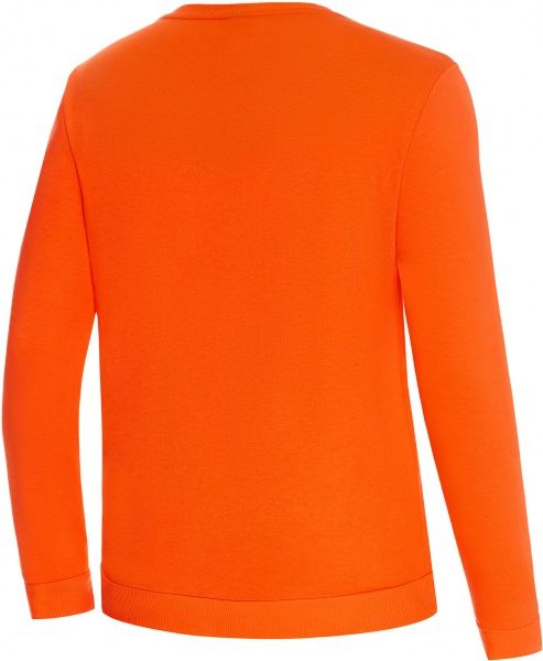 Джемпер Puma SD FtblCore Crew Sweat FC 76487401 р. S черный