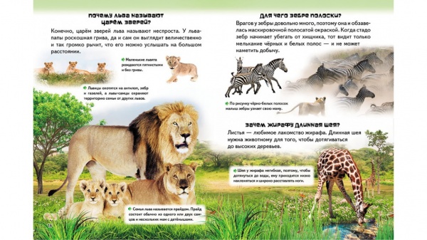 Книга «Большая энциклопедия почемучки в вопросах и ответах» 978-966-947-154-3